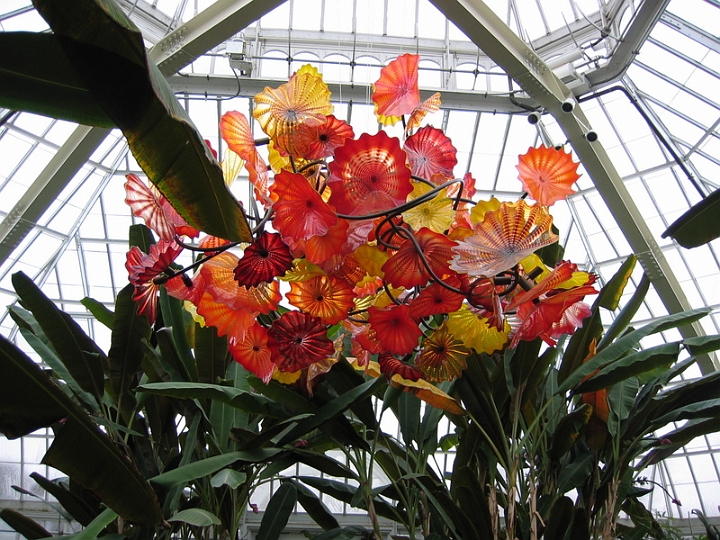 IMG_5737 Dale Chihuly art at Pittsburgh Phipps Conservatory.jpg